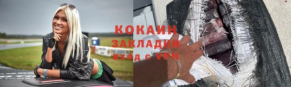 прущие грибы Надым