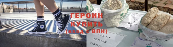 прущие грибы Надым
