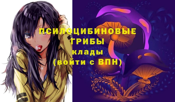 прущие грибы Белая Калитва