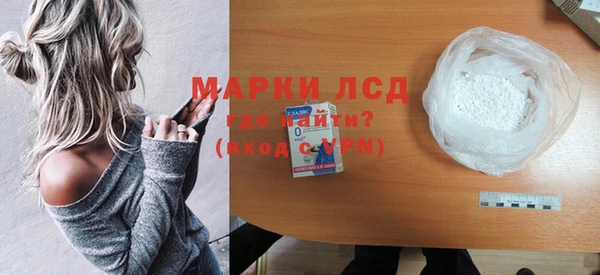 прущие грибы Надым
