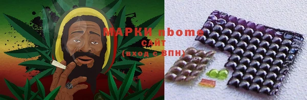прущие грибы Надым