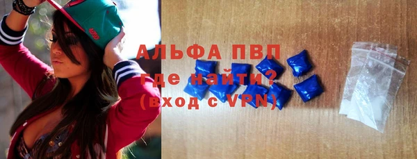 сатива Бежецк