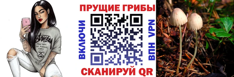 Псилоцибиновые грибы мухоморы  цена   Краснодар 
