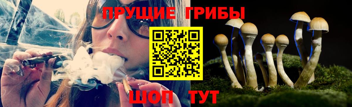 Галлюциногенные грибы мухоморы Краснодар