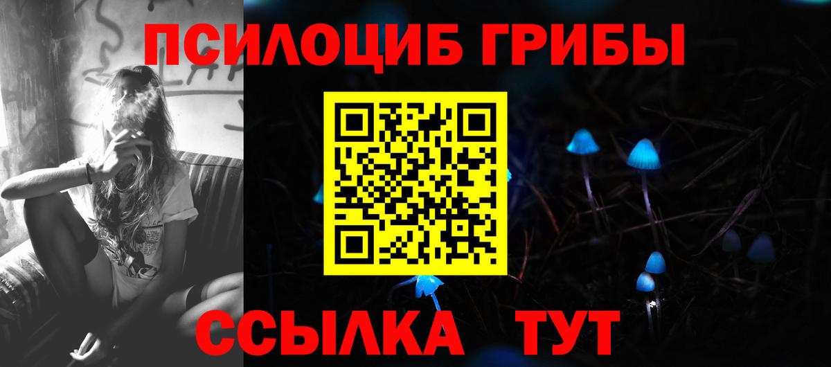 Краснодар  Псилоцибиновые грибы MAGIC MUSHROOMS  Вход с VPN 