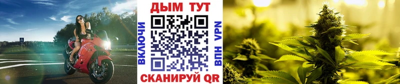 МАРИХУАНА ГИДРОПОН Краснодар