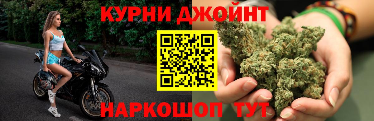 Каннабис OG Kush  Шишки марихуана индика  Конопля семена  Шишки марихуана план  Краснодар 